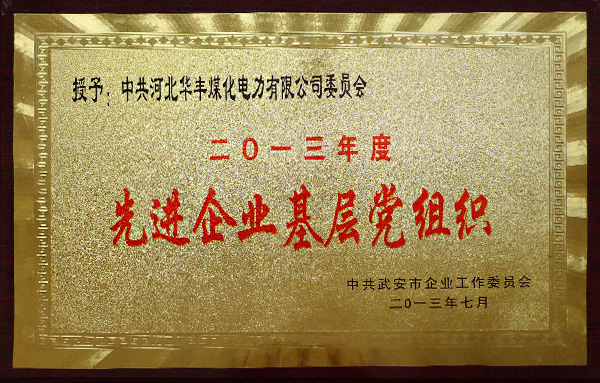 2013年先進企業(yè)基層黨組織